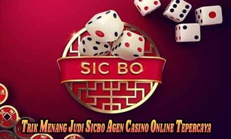 Trik Menang Judi Sicbo Agen Casino Online Tepercaya